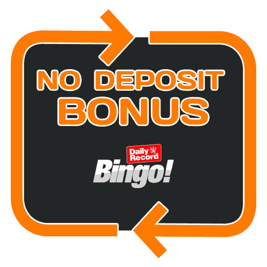 Daily Record Bingo - no deposit bonus 365