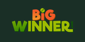 BigWinner review