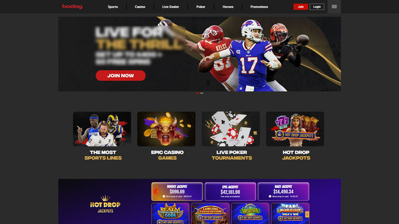 Thumbnail bodog lobby