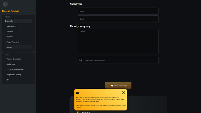 bspin support screenshot