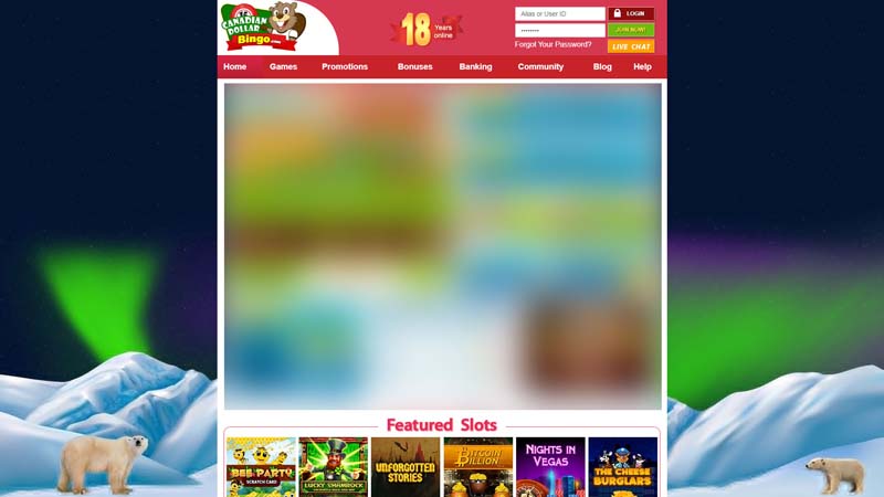canadian-dollar-bingo lobby screenshot