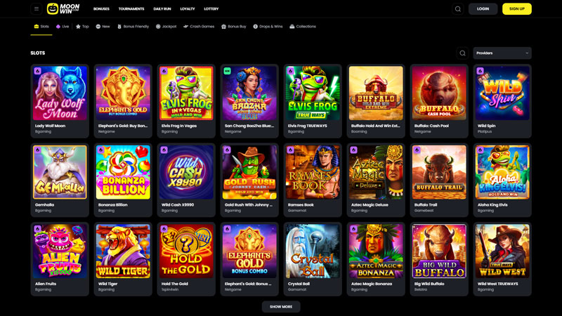 moonwin slots screenshot