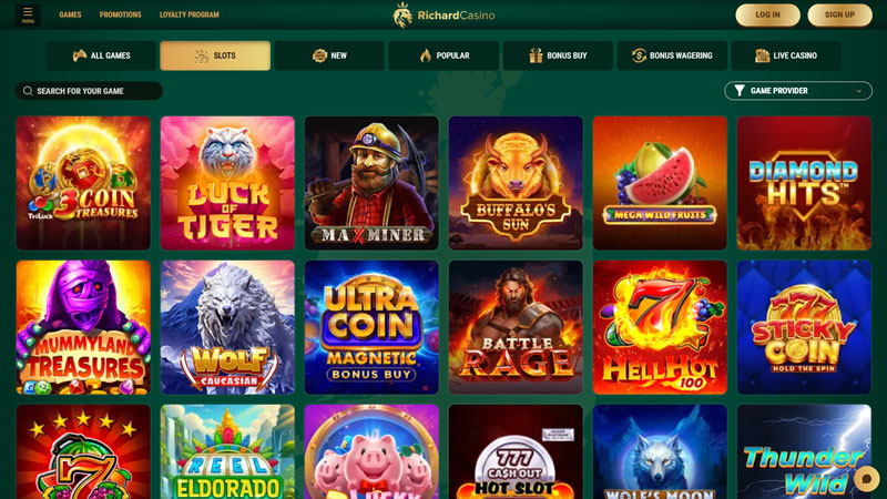 Thumbnail richard-casino slots