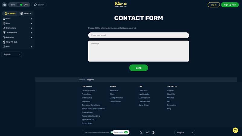 winz support screenshot